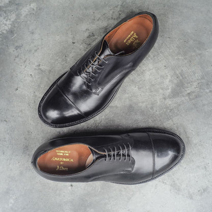 ANATOMICA by ALDEN STRAIGHT TIP OX - CALF - BLACK